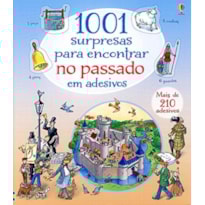 1001 SURPRESAS PARA ENCONTRAR NO PASSADO EM ADESIVOS