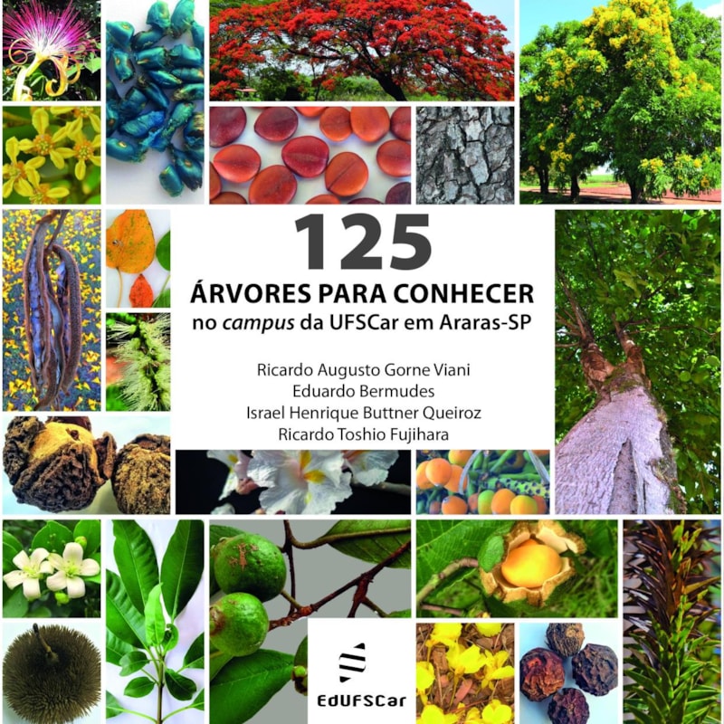 125 ÁRVORES PARA CONHECER NO CAMPUS DA UFSCAR EM ARARAS- SP
