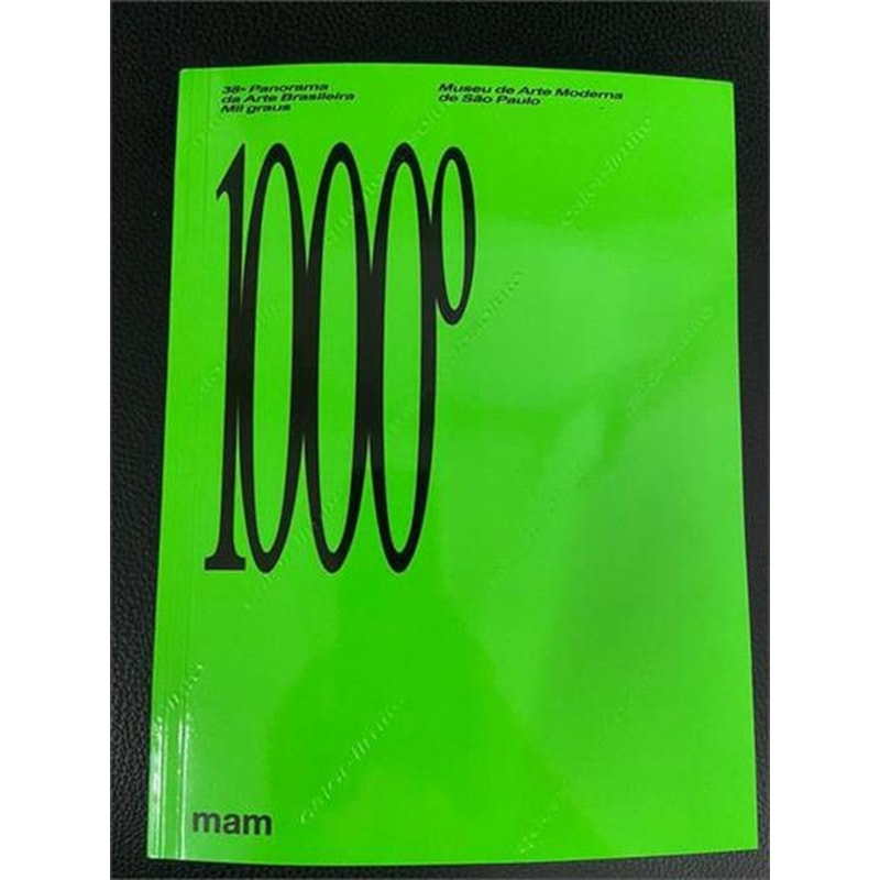 38º PANORAMA DE ARTE BRASILEIRA 1000º GRAUS