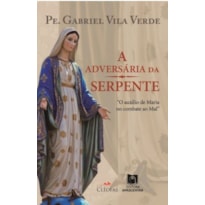 A ADVERSÁRIA DA SERPENTE: O AUXÍLIO DE MARIA NO COMBATE AO MAL