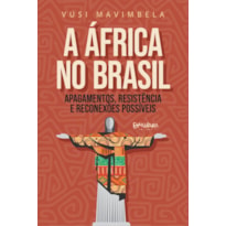 A ÁFRICA NO BRASIL: APAGAMENTOS, RESISTÊNCIA E RECONEXÕES POSSÍVEIS