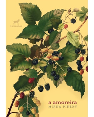 A AMOREIRA