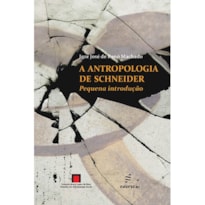A ANTROPOLOGIA DE SCHNEIDER: PEQUENA INTRODUÇÃO