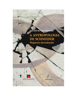 A ANTROPOLOGIA DE SCHNEIDER: PEQUENA INTRODUÇÃO