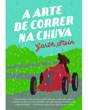 A ARTE DE CORRER NA CHUVA