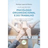 A ATUAÇÃO DO PSICÓLOGO ORGANIZACIONAL E DO TRABALHO: UMA ANÁLISE À LUZ DA MOTIVAÇÃO NO AMBIENTE DE TRABALHO