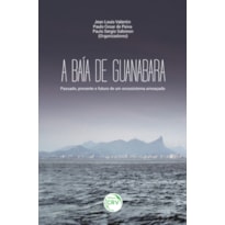 A BAÍA DE GUANABARA: PASSADO, PRESENTE E FUTURO DE UM ECOSSISTEMA AMEAÇADO