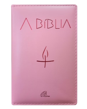 A bíblia - almofadada rosa