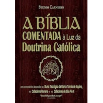 A BÍBLIA COMENTADA À LUZ DA DOUTRINA CATÓLICA