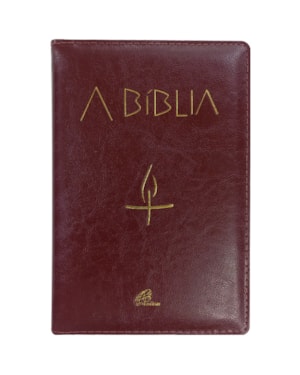 A bíblia - letra grande luxo marrom