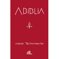 A BÍBLIA - NOVO TESTAMENTO (CAPA CRISTAL)