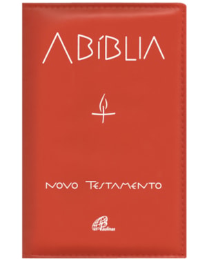A BÍBLIA - NOVO TESTAMENTO (ENCADERNADO)