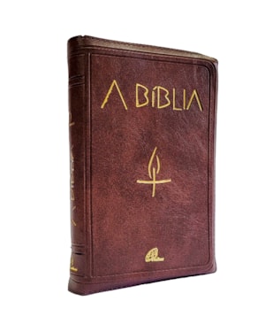 A bíblia - zíper marrom