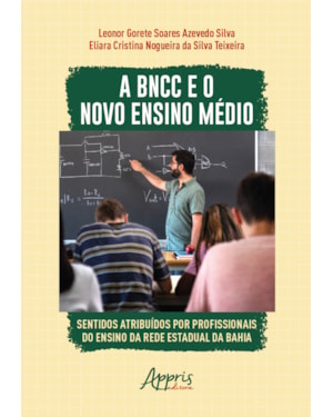 A BNCC E O NOVO ENSINO MÉDIO: SENTIDOS ATRIBUÍDOS POR PROFISSIONAIS DO ENSINO DA REDE ESTADUAL DA BAHIA