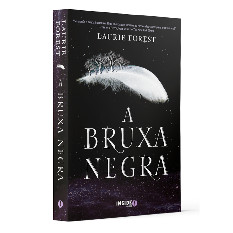 A BRUXA NEGRA - VOLUME 1 (CRÔNICAS DA BRUXA NEGRA)