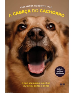 A CABEÇA DO CACHORRO