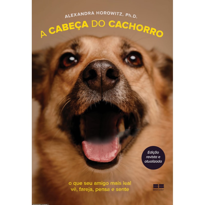 A CABEÇA DO CACHORRO