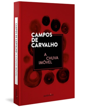 A CHUVA IMÓVEL (CAPA DURA)