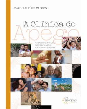 A clínica do apego: funcamentos para uma psicoterapia afetiva, relacional e experencial
