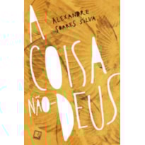 A COISA NÃO-DEUS
