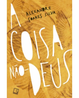 A COISA NÃO-DEUS