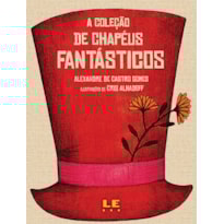 A COLEÇÃO DE CHAPÉUS FANTÁSTICOS