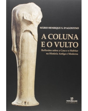 A COLUNA E O VULTO