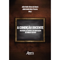 A CONDIÇÃO DOCENTE NA REDE ESTADUAL DE EDUCAÇÃO DE MINAS GERAIS