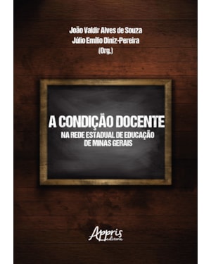 A CONDIÇÃO DOCENTE NA REDE ESTADUAL DE EDUCAÇÃO DE MINAS GERAIS