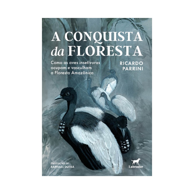 A CONQUISTA DA FLORESTA: COMO AS AVES INSETÍVORAS OCUPAM E VASCULHAM A FLORESTA AMAZÔNICA