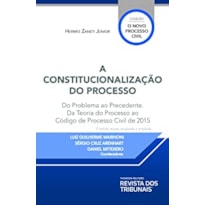 A CONSTITUCIONALIZAÇÃO DO PROCESSO