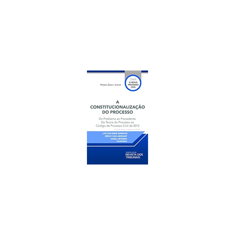 A CONSTITUCIONALIZAÇÃO DO PROCESSO