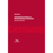 A constituição canônica e os direitos humanos fundamentais: uma teoria da constituição