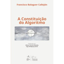 A CONSTITUIÇÃO DO ALGORITMO