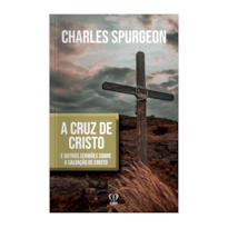 A CRUZ DE CRISTO