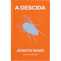 A DESCIDA: UM ROMANCE