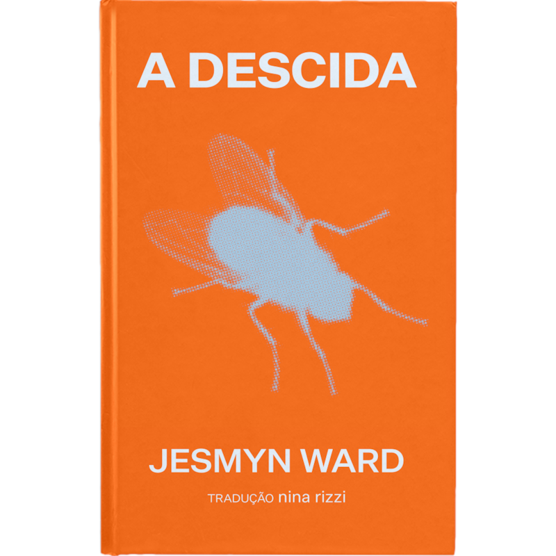 A DESCIDA: UM ROMANCE