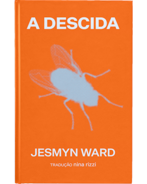 A DESCIDA: UM ROMANCE