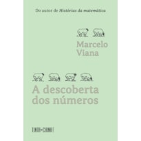 A DESCOBERTA DOS NÚMEROS: UMA AVENTURA MATEMÁTICA