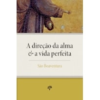 A DIREÇÃO DA ALMA E A VIDA PERFEITA