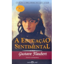 A EDUCAÇÃO SENTIMENTAL