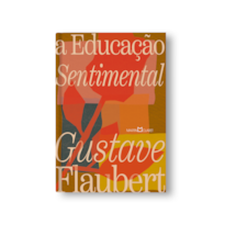A EDUCAÇÃO SENTIMENTAL
