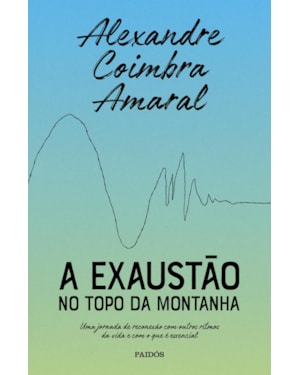 A EXAUSTÃO NO TOPO DA MONTANHA: UMA JORNADA DE RECONEXÃO COM OUTROS RITMOS DA VIDA E COM O QUE É ESSENCIAL