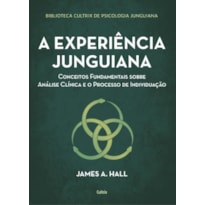 A experiência junguiana: conceitos fundamentais sobre análise clínica e o processo de individuação