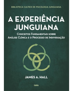 A experiência junguiana: conceitos fundamentais sobre análise clínica e o processo de individuação