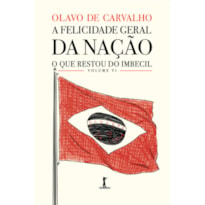 A FELICIDADE GERAL DA NAÇÃO - O QUE RESTOU DO IMBECIL - VOL. VI