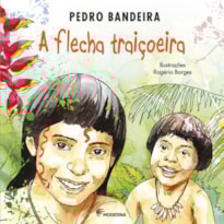 A FLECHA TRAICOEIRA