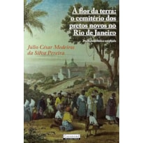À FLOR DA TERRA: O CEMITÉRIO DOS PRETOS NOVOS NO RIO DE JANEIRO