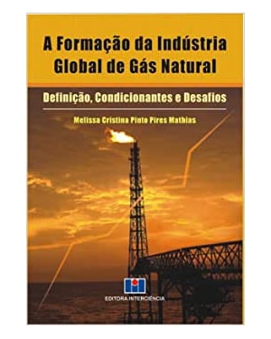 A formação da indústria global de gás natural: definição, condicionantes e desafios