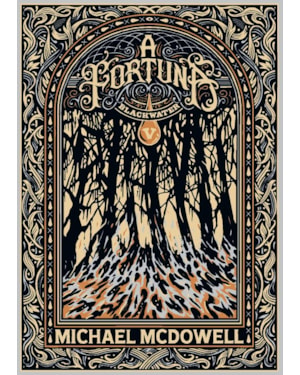 A FORTUNA (BLACKWATER - LIVRO 5)